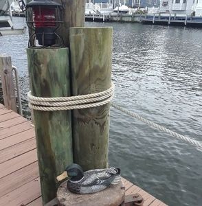 Meet your Posher, Ronald